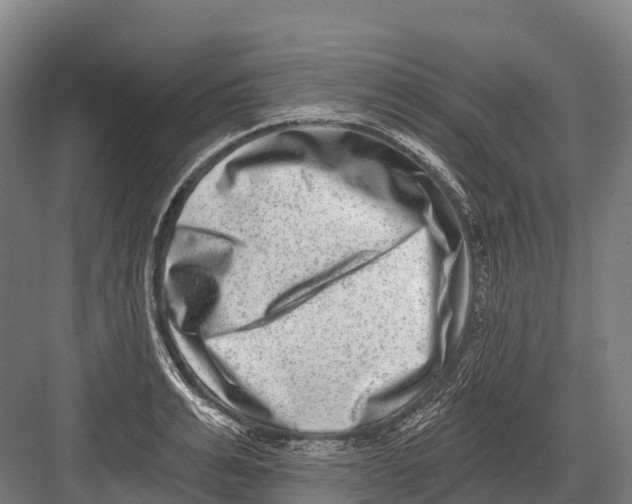 X0000081580991200702121443