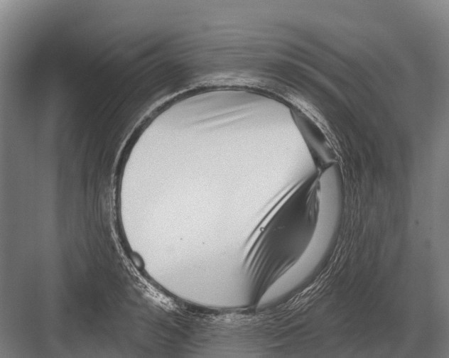 X0000081580992200702121443