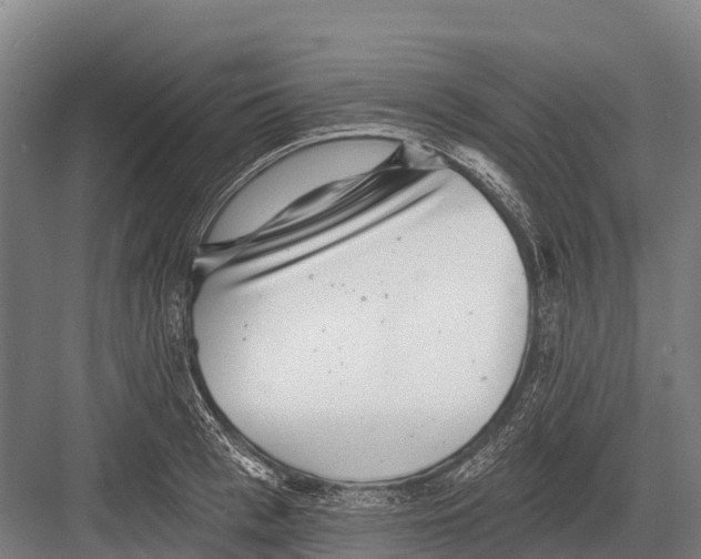 X0000081580993200702121443