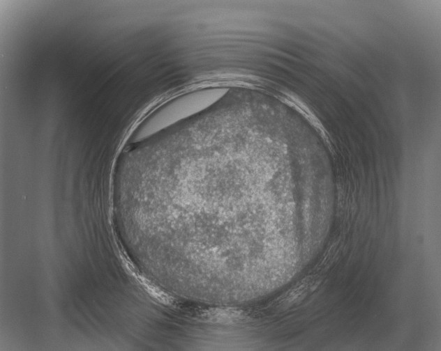 X0000081580994200702121443