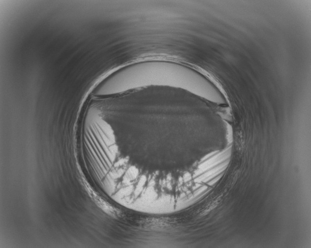 X0000081580995200702121443