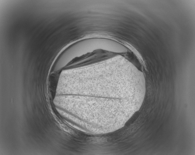 X0000081580996200702121443