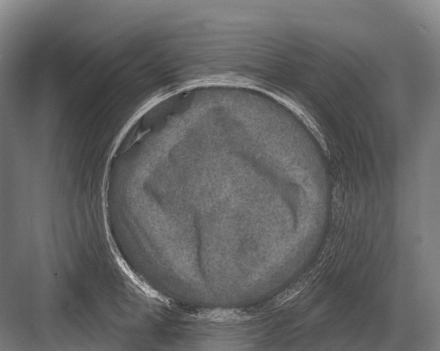 X0000081580998200702121443