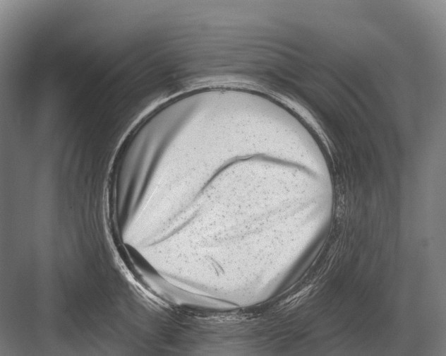 X0000081580999200702121443