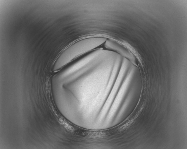 X0000081581001200702121443