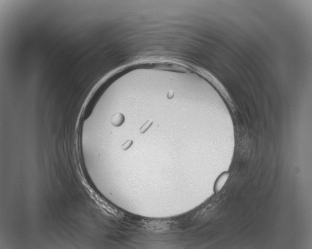 X0000081581004200702121443