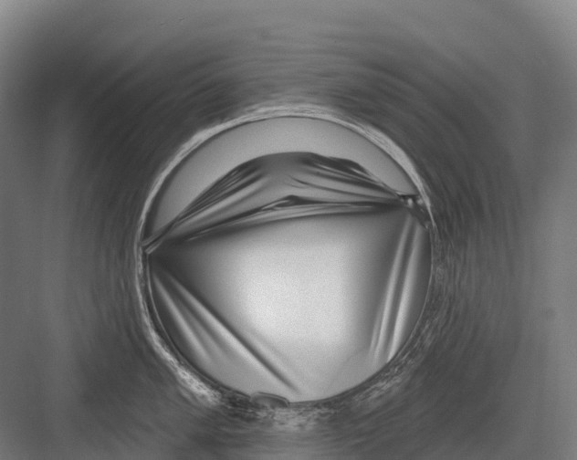 X0000081581005200702121443