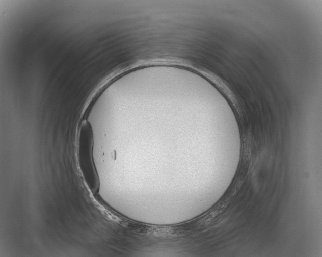 X0000081581006200702121443