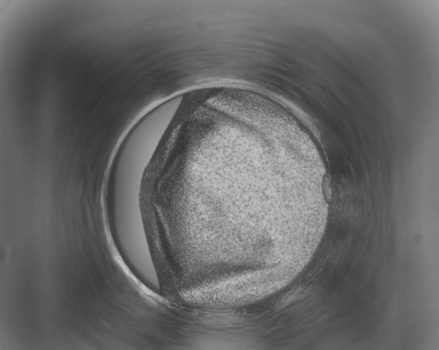 X0000081581007200702121443