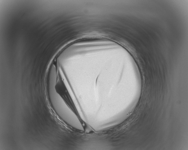 X0000081581008200702121443