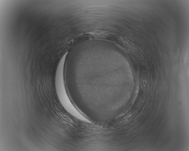 X0000081581010200702121442