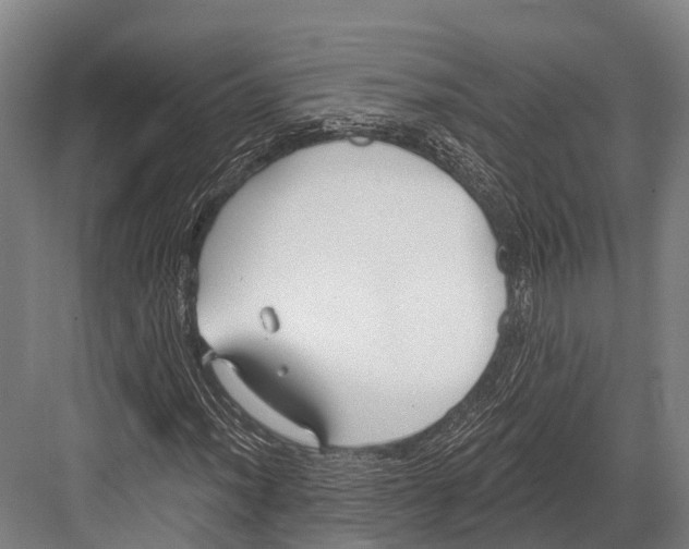 X0000081581012200702121442