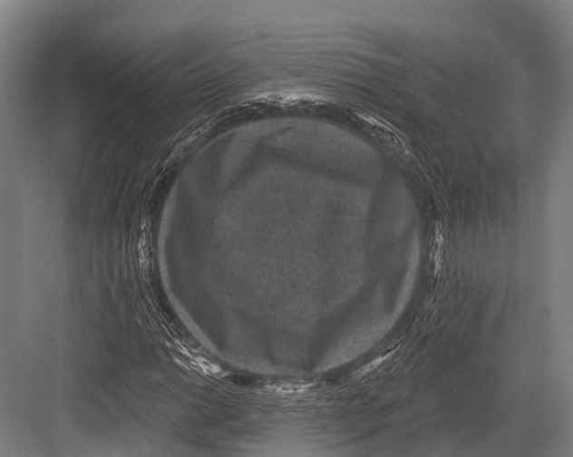 X0000081581014200702121442