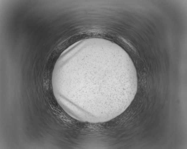 X0000081581015200702121442