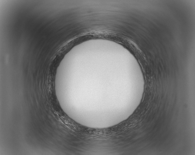 X0000081581016200702121442