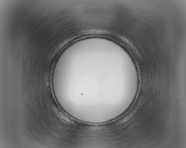 X0000081581017200702121442