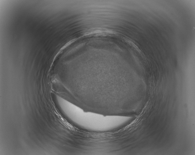 X0000081581018200702121442