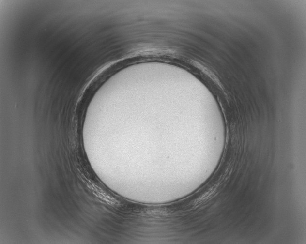 X0000081581021200702121442