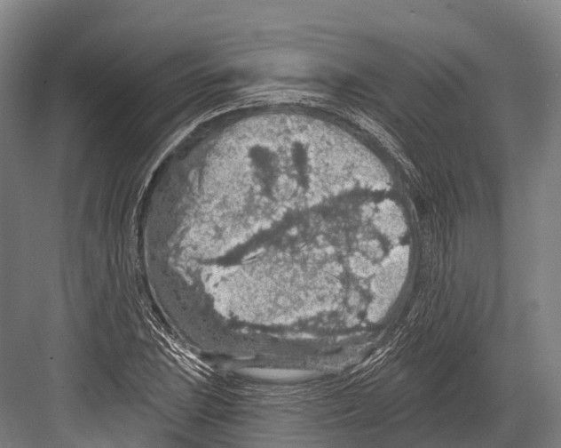 X0000081581023200702121442