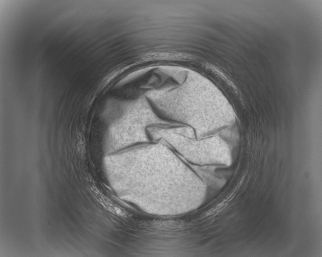 X0000081581025200702121442