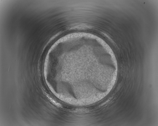 X0000081581026200702121442