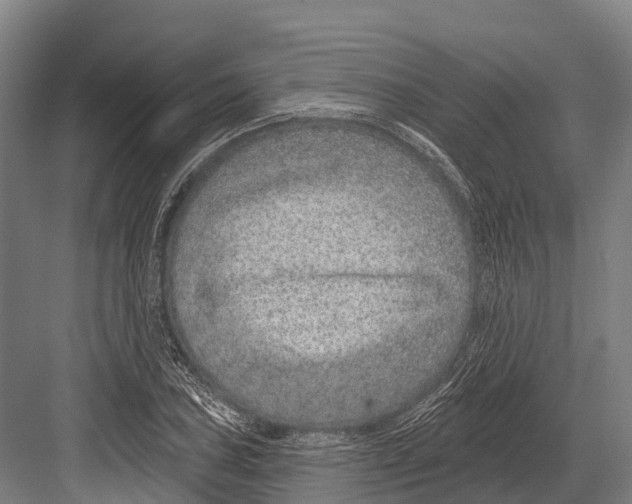 X0000081581027200702121442