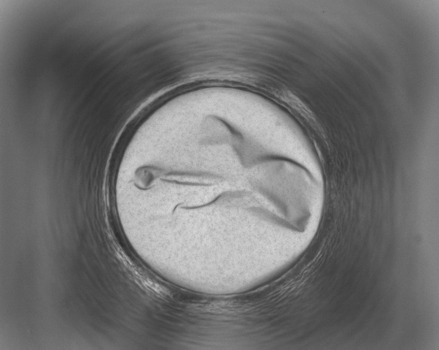 X0000081581028200702121442