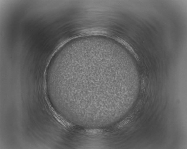 X0000081581031200702121442