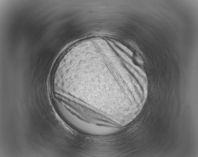 X0000081581032200702121442