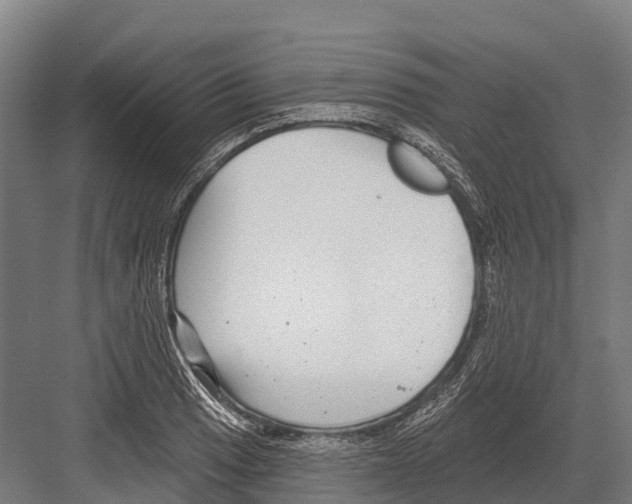 X0000081581033200702121442