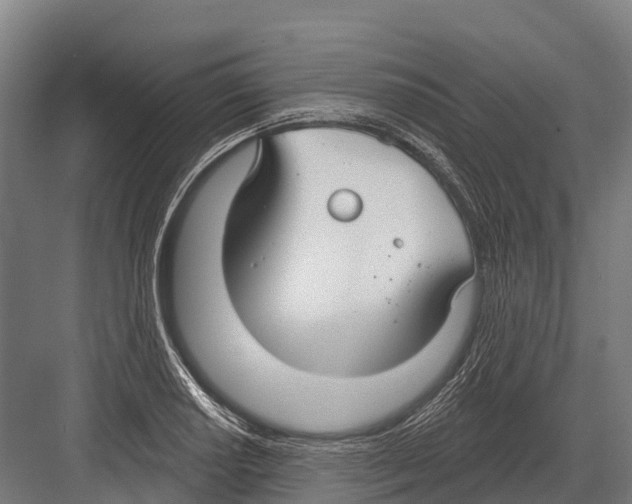 X0000081581034200702121442