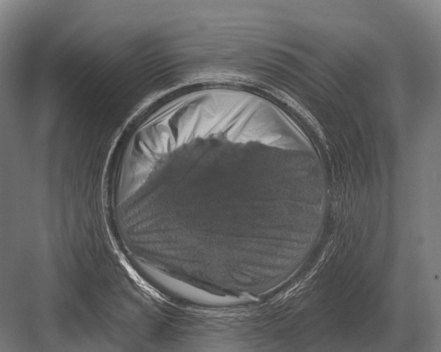 X0000081581037200702121442