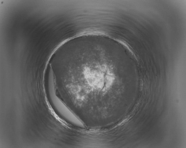 X0000081581038200702121442