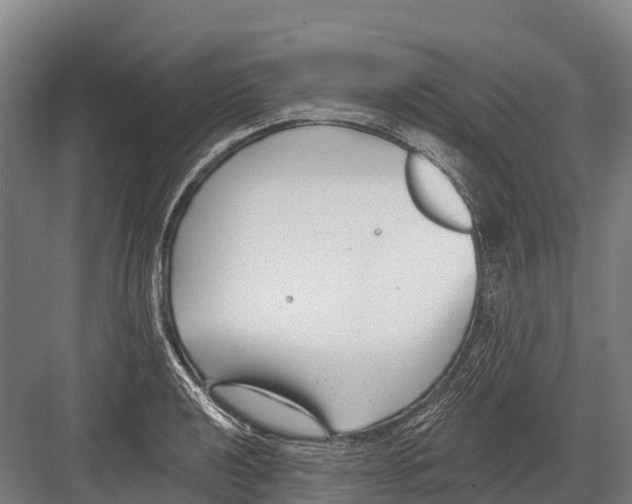 X0000081581040200702121442