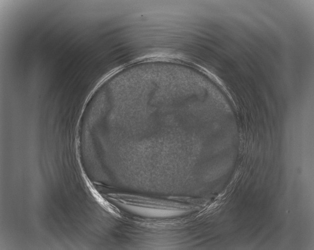 X0000081581042200702121442