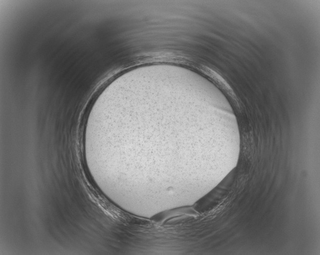 X0000081581043200702121442