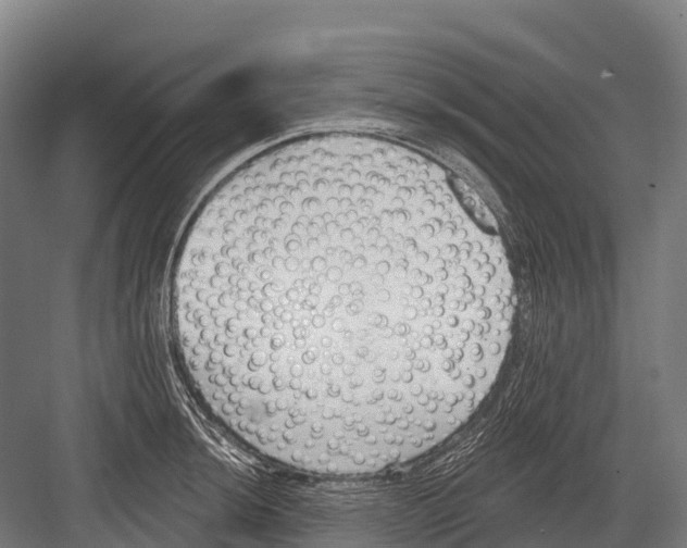 X0000081581044200702121442