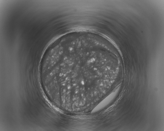 X0000081581045200702121442