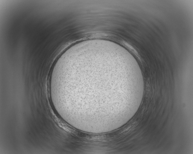 X0000081581047200702121442