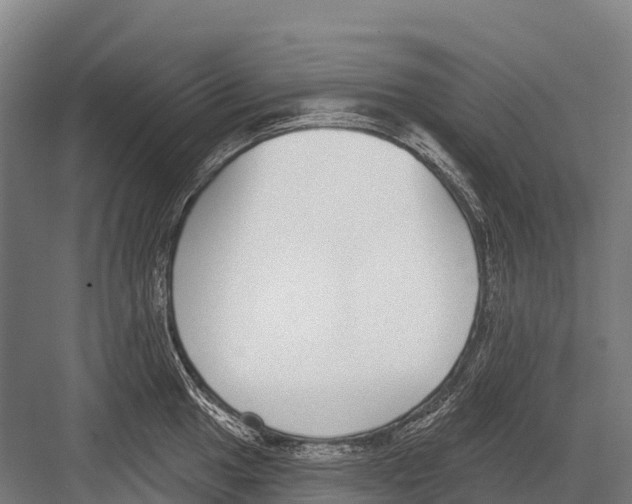 X0000081581049200702121442