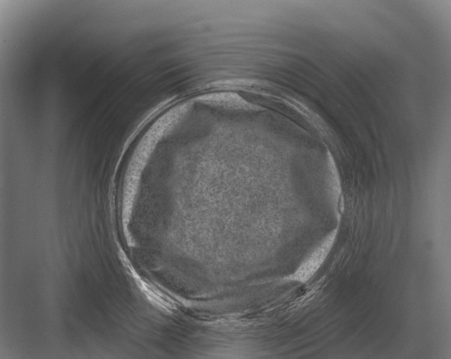 X0000081581050200702121442