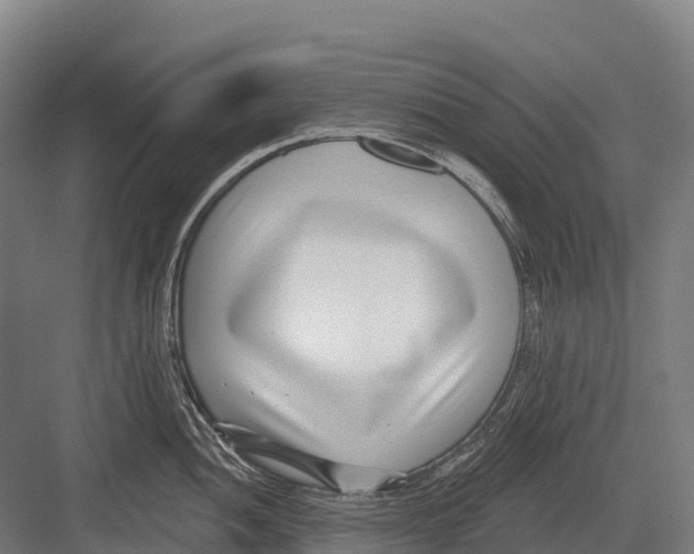 X0000081581052200702121442