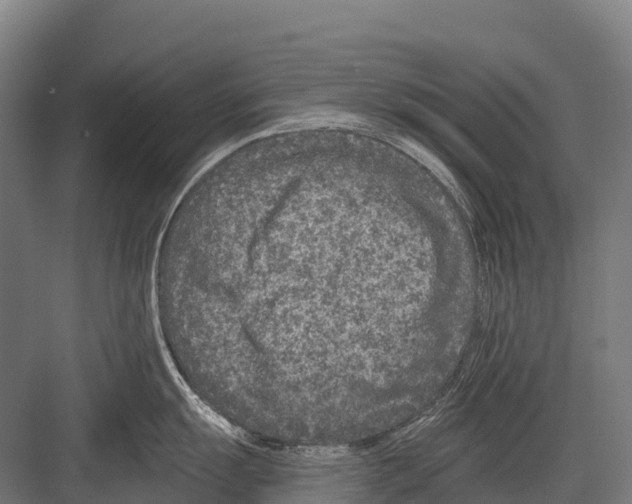 X0000081581055200702121443