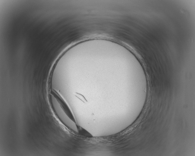 X0000081581056200702121443