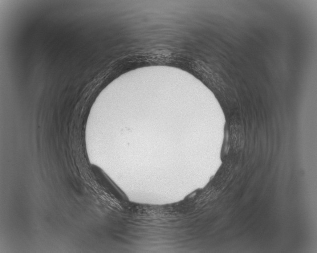 X0000081581057200702121442