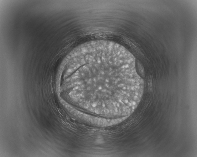 X0000081581060200702121442