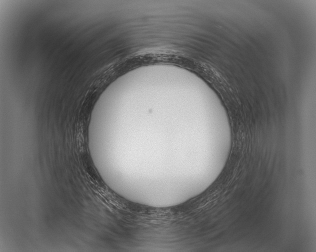 X0000081581062200702121442