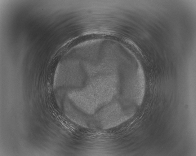 X0000081581064200702121442