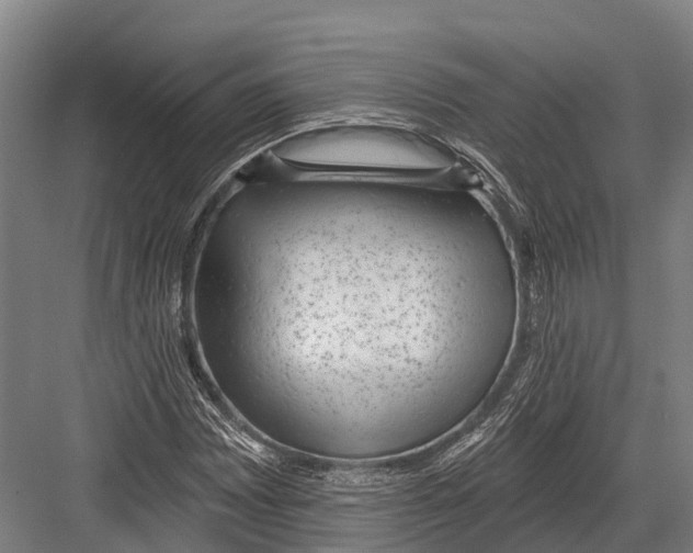 X0000081581065200702121442