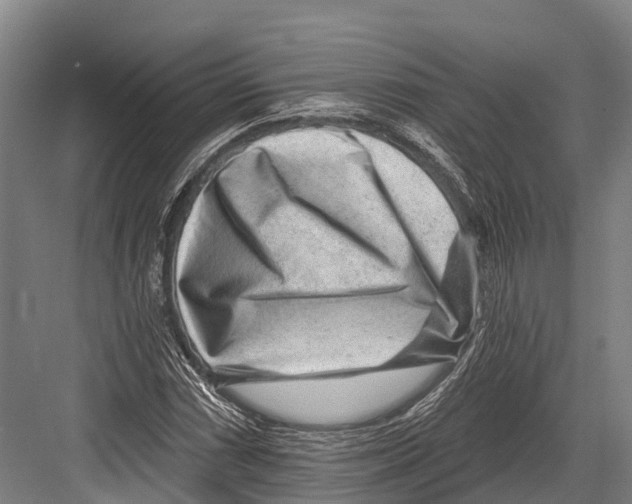 X0000081581066200702121442